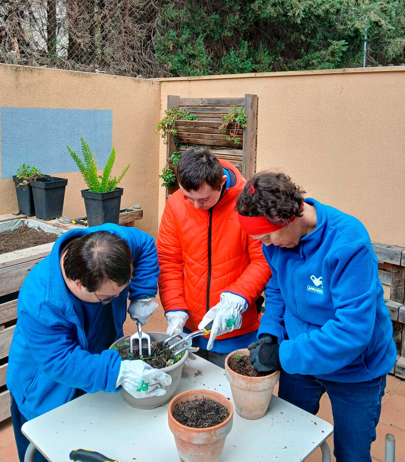 persones de l'STO preparant un hort